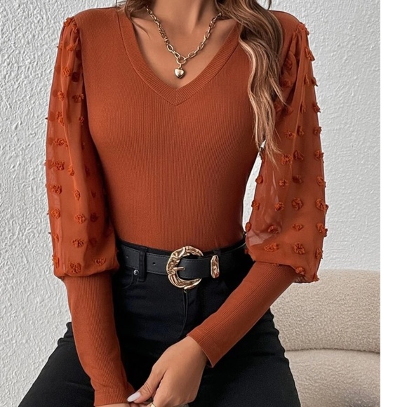 Fitted V neck Swiss Dot Puff Sleeve Top - Picture 2 of 10